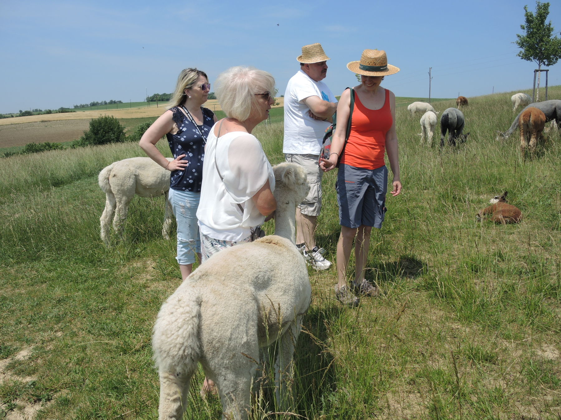 © Andrea Uhl LK NÖ © Andrea Uhl LK NÖ