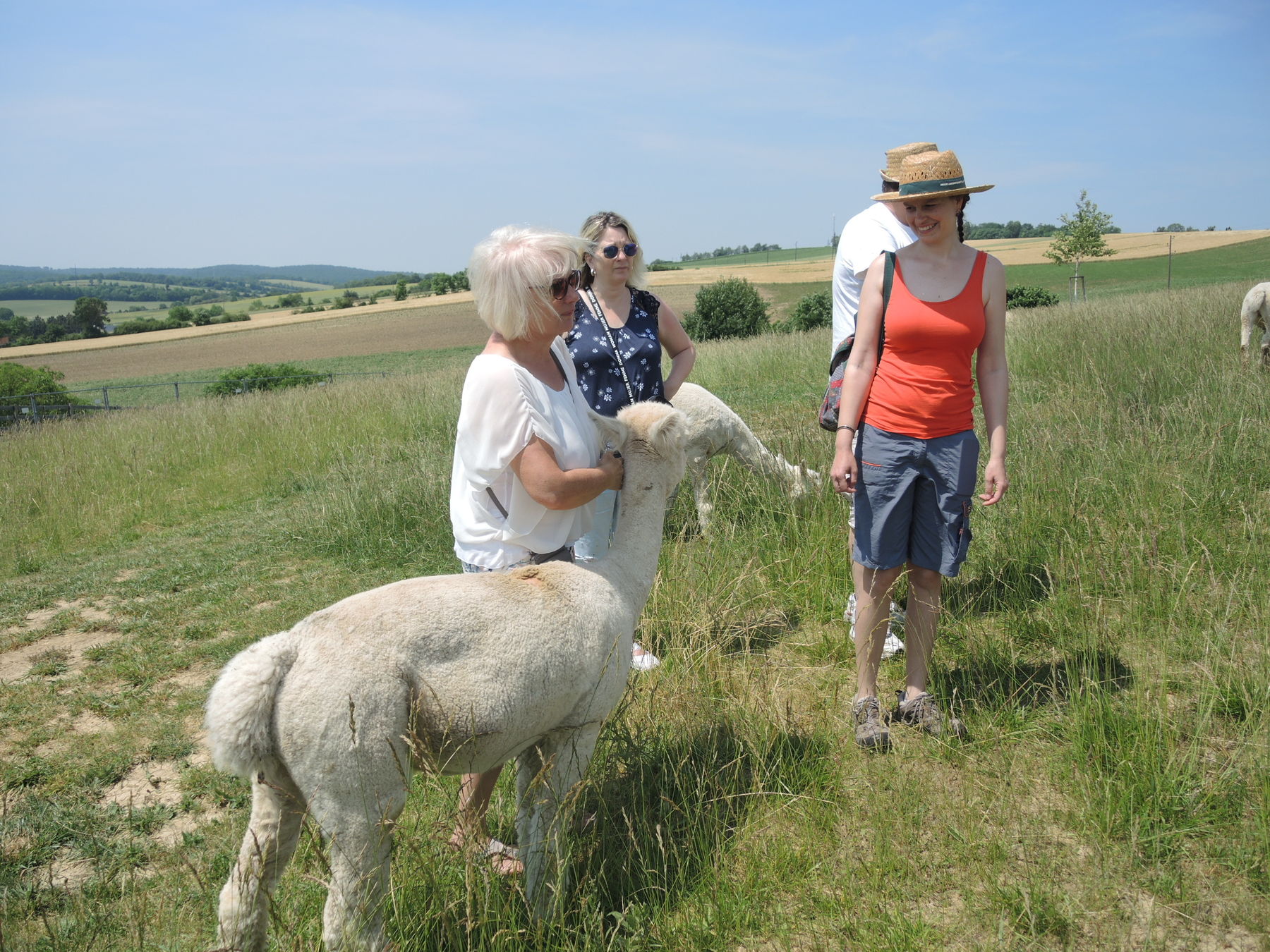 © Andrea Uhl LK NÖ © Andrea Uhl LK NÖ