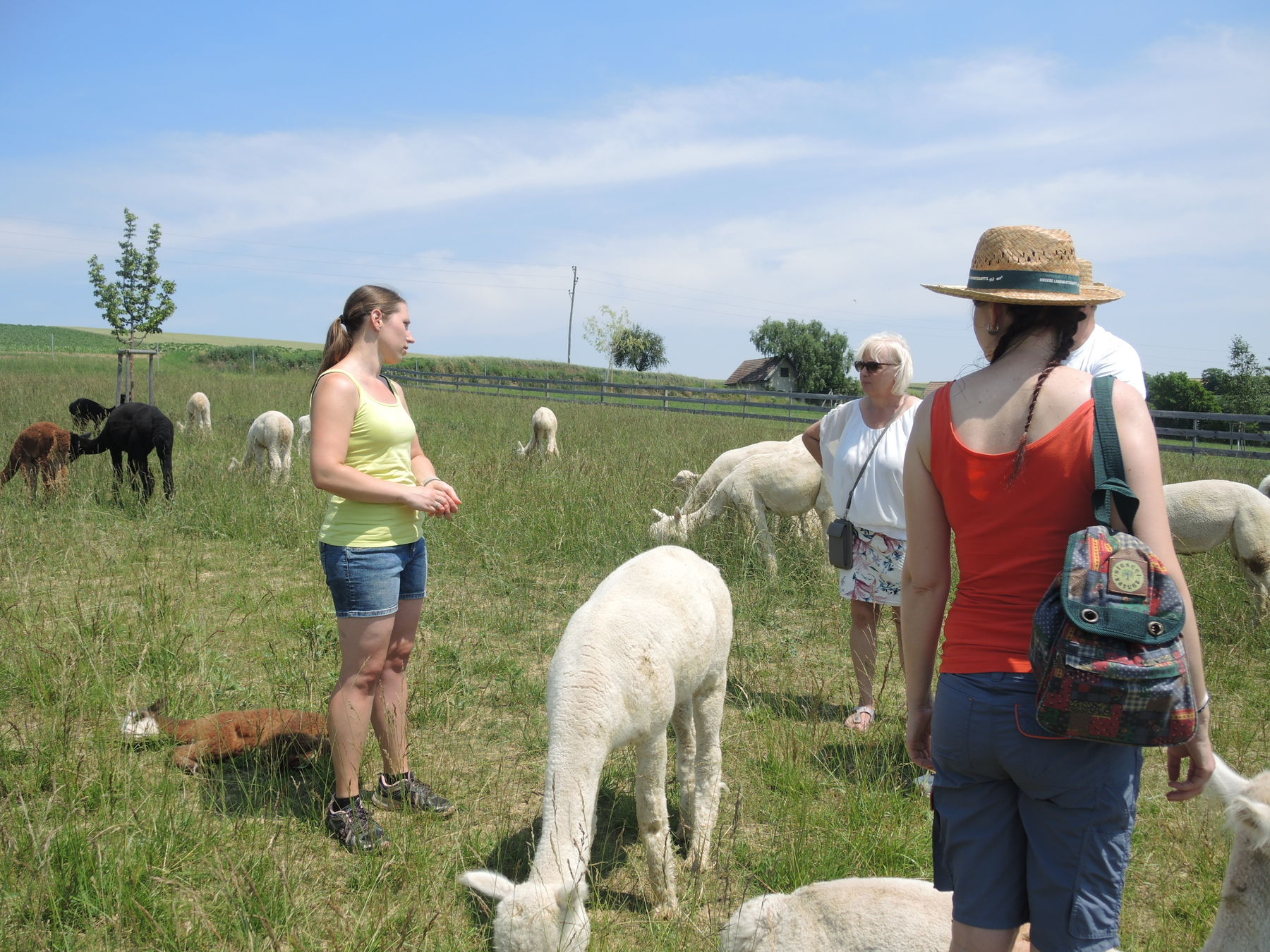 © Andrea Uhl LK NÖ © Andrea Uhl LK NÖ