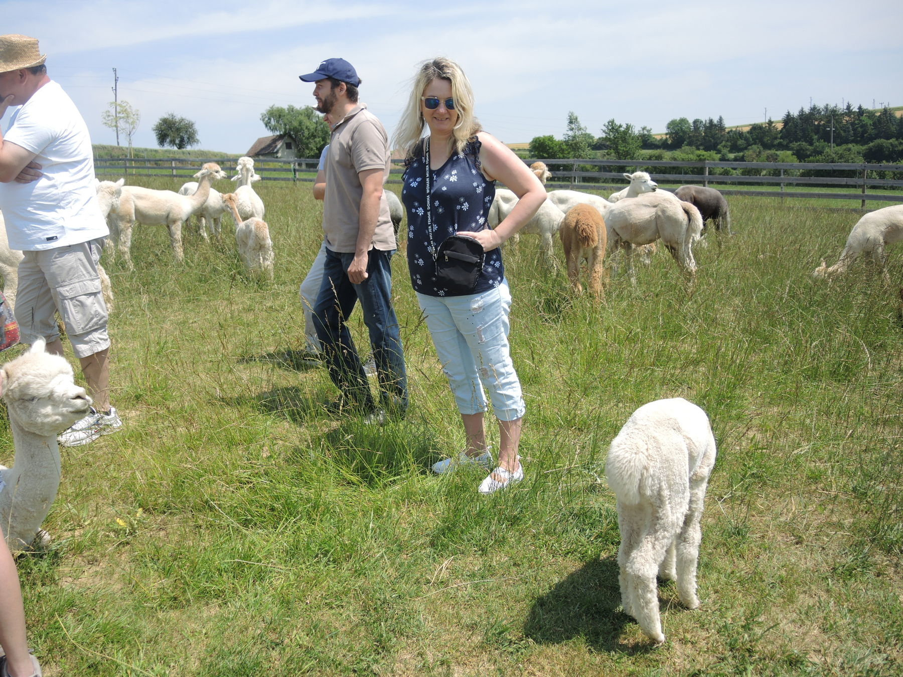 © Andrea Uhl LK NÖ © Andrea Uhl LK NÖ