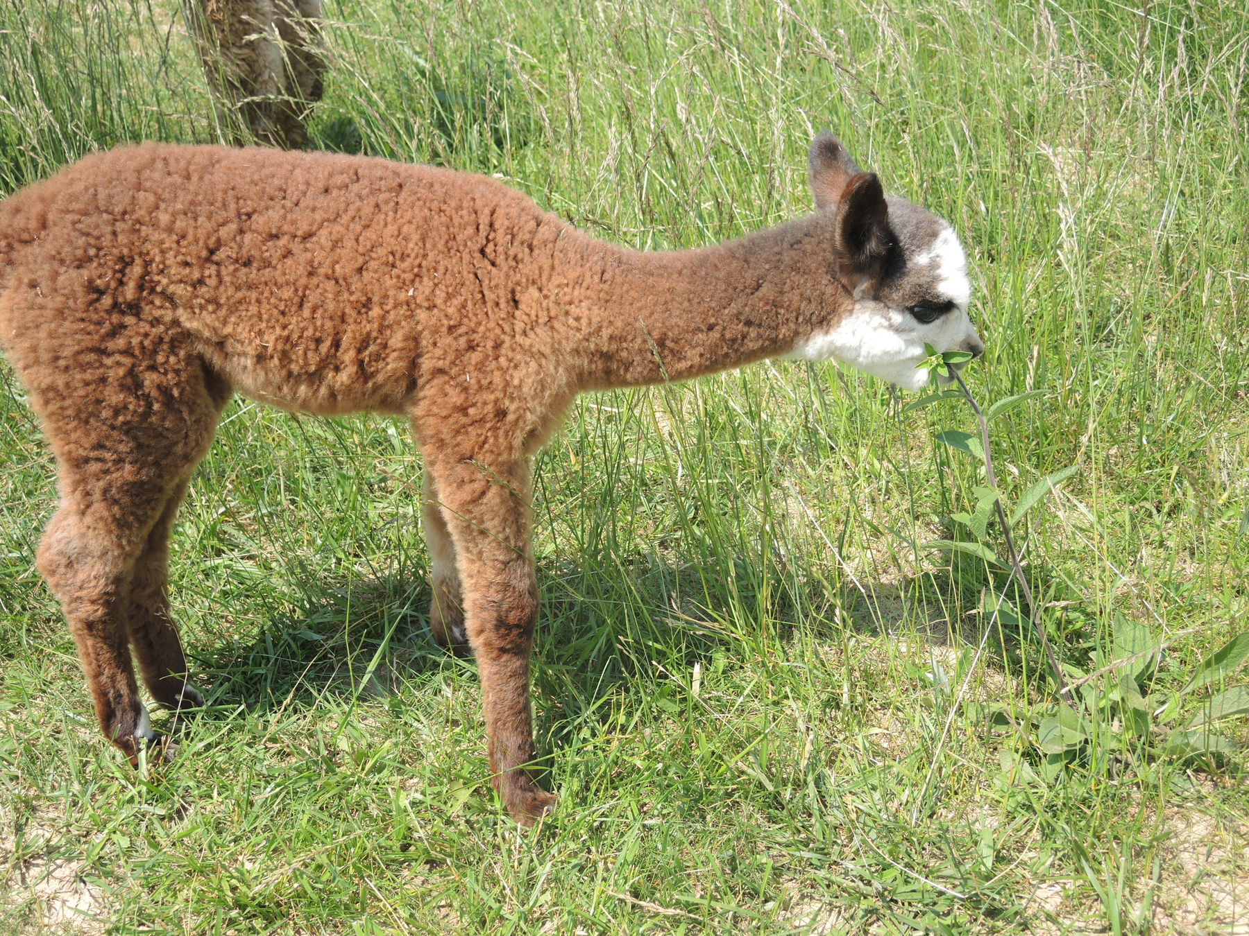 © Andrea Uhl LK NÖ © Andrea Uhl LK NÖ