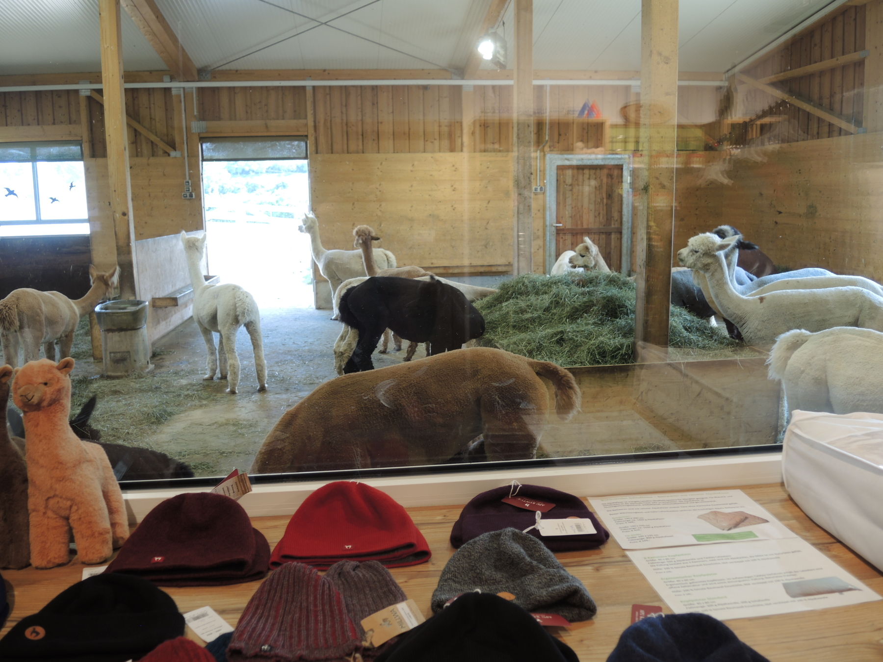 © Andrea Uhl LK NÖ © Andrea Uhl LK NÖ