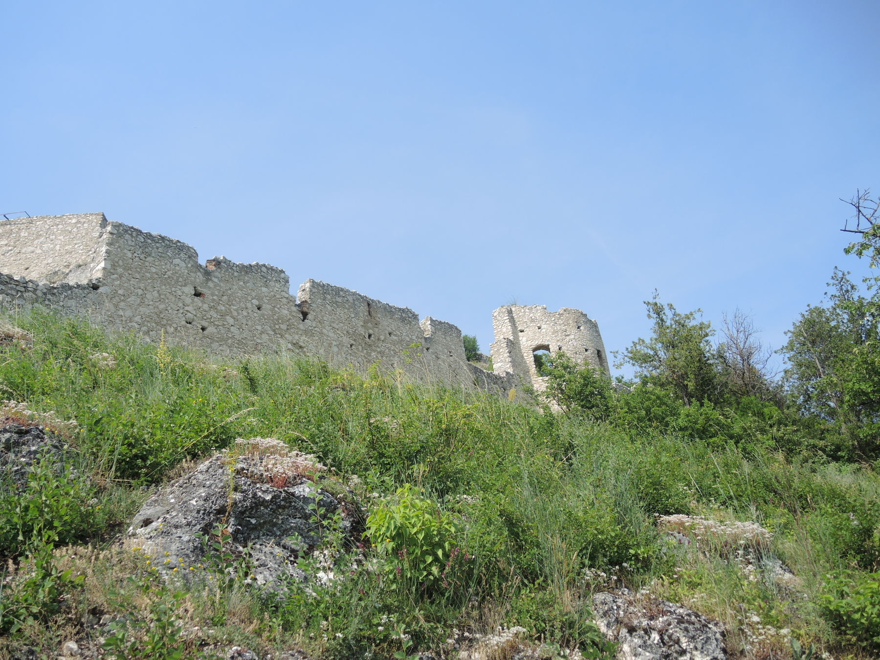 © Andrea Uhl LK NÖ © Andrea Uhl LK NÖ