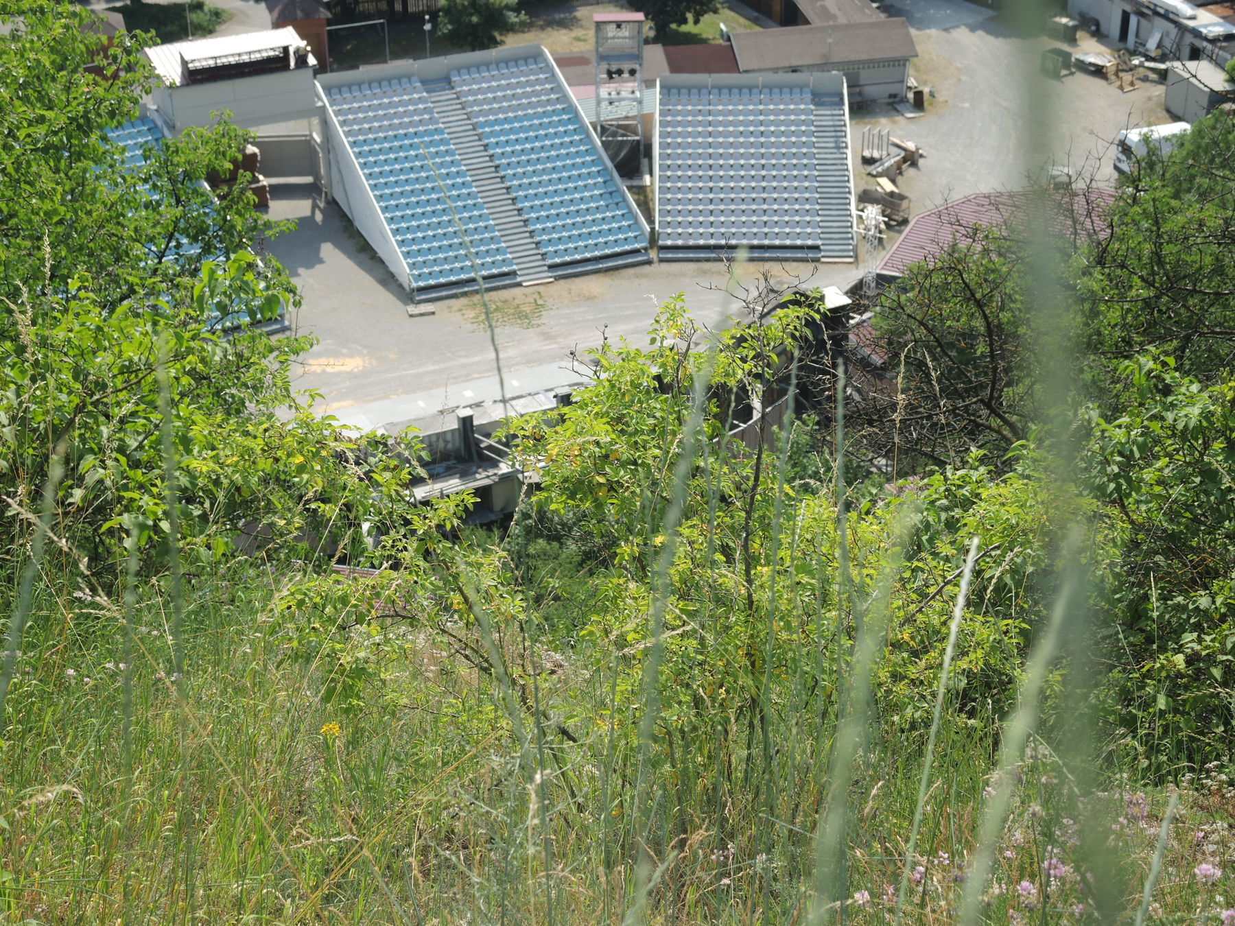 © Andrea Uhl LK NÖ © Andrea Uhl LK NÖ