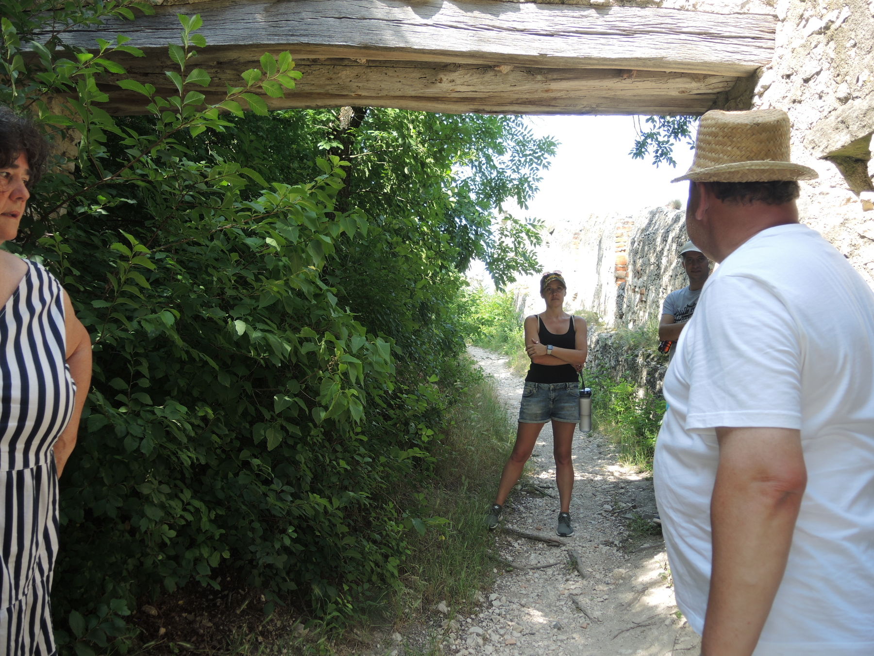 © Andrea Uhl LK NÖ © Andrea Uhl LK NÖ