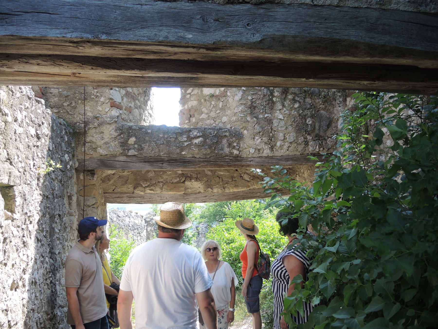 © Andrea Uhl LK NÖ © Andrea Uhl LK NÖ