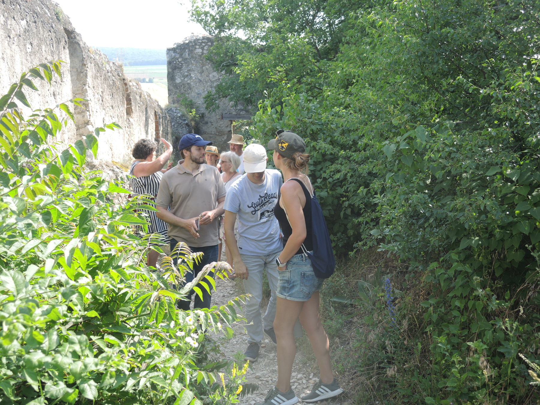 © Andrea Uhl LK NÖ © Andrea Uhl LK NÖ