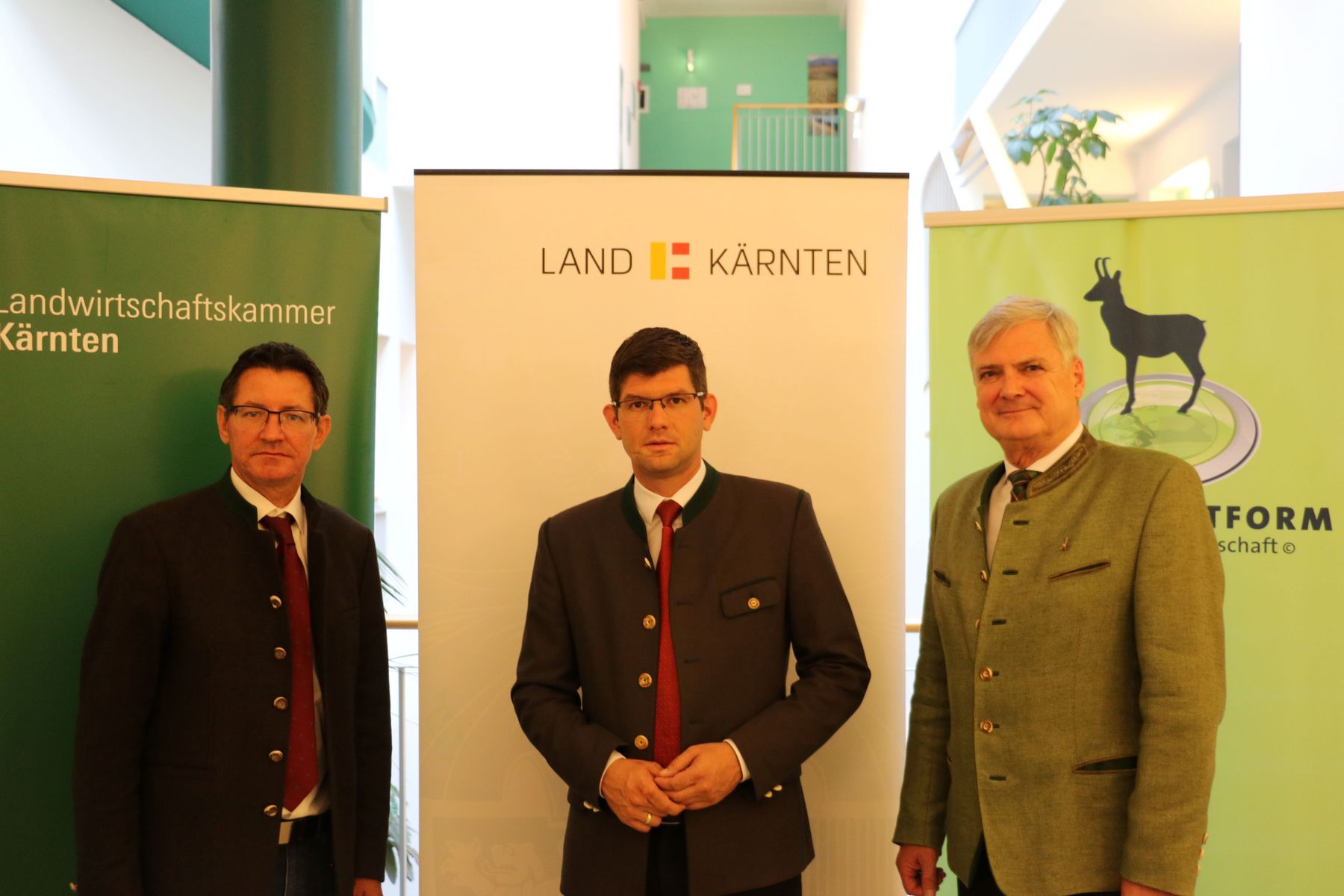 PK Wolfshybride.jpg © LK Kärnten/Pesentheiner PK Wolfshybride.jpg © LK Kärnten/Pesentheiner