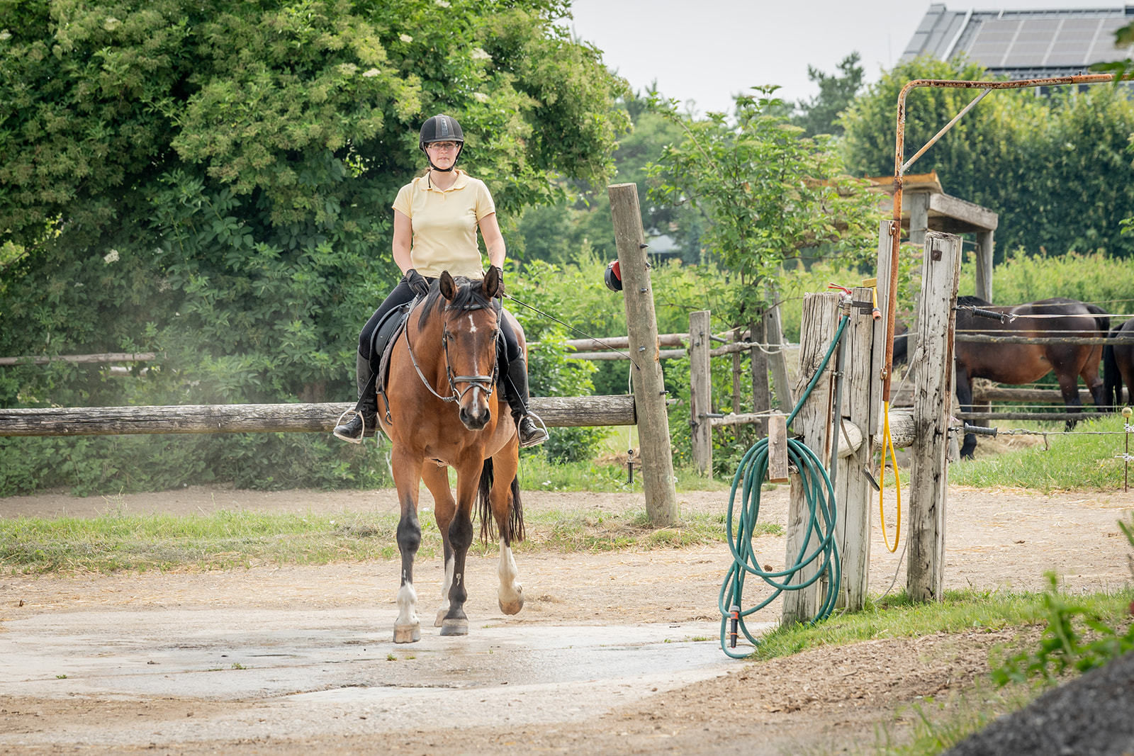 © Georg Pomaßl/LK Niederösterreich © Georg Pomaßl/LK Niederösterreich