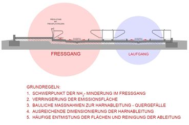 01 Liegeboxenlaufstall Grundregeln.jpg