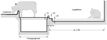 01 Zweiflächenbucht mit Tiefstreu - Spaltenboden und Treibmistkanal.jpg
