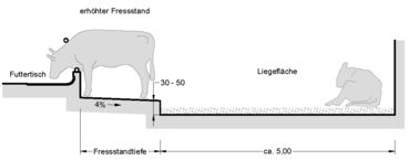 02 Zweiflächenbucht mit erhöhtem Fressstand.jpg