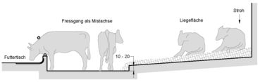 03 Zweiflächenbucht mit Tretmistsystem.jpg