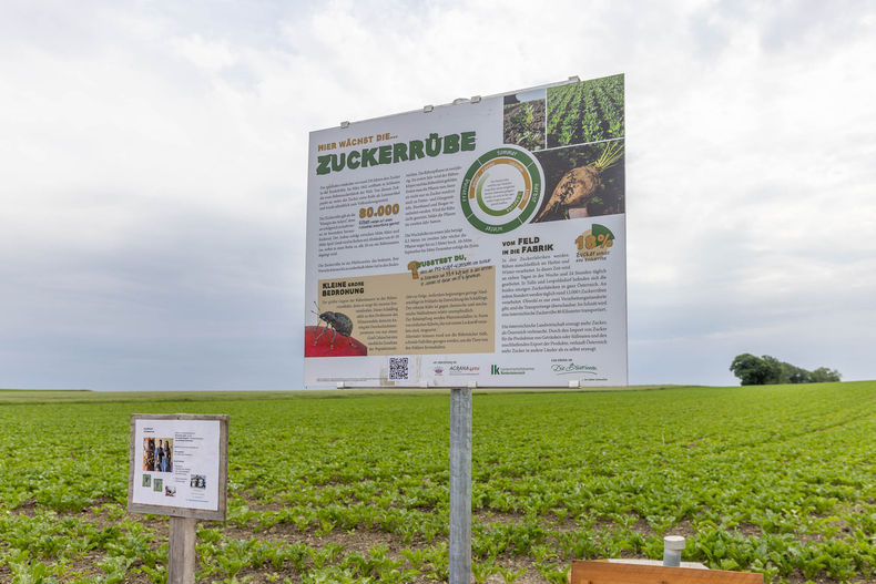 Eröffnung der AckerkulTOUR 2023 © Die Bäuerinnen im Gebiet Schwechat Eröffnung der AckerkulTOUR 2023 © Die Bäuerinnen im Gebiet Schwechat