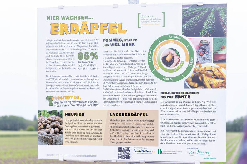 Eröffnung der AckerkulTOUR 2023 © Die Bäuerinnen im Gebiet Schwechat Eröffnung der AckerkulTOUR 2023 © Die Bäuerinnen im Gebiet Schwechat