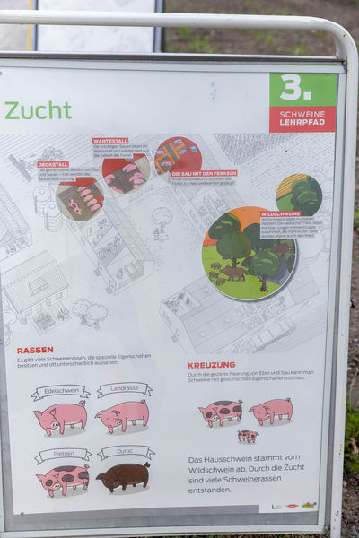 Eröffnung der AckerkulTOUR 2023 © Die Bäuerinnen im Gebiet Schwechat