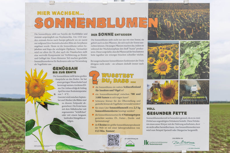 Eröffnung der AckerkulTOUR 2023 © Die Bäuerinnen im Gebiet Schwechat Eröffnung der AckerkulTOUR 2023 © Die Bäuerinnen im Gebiet Schwechat