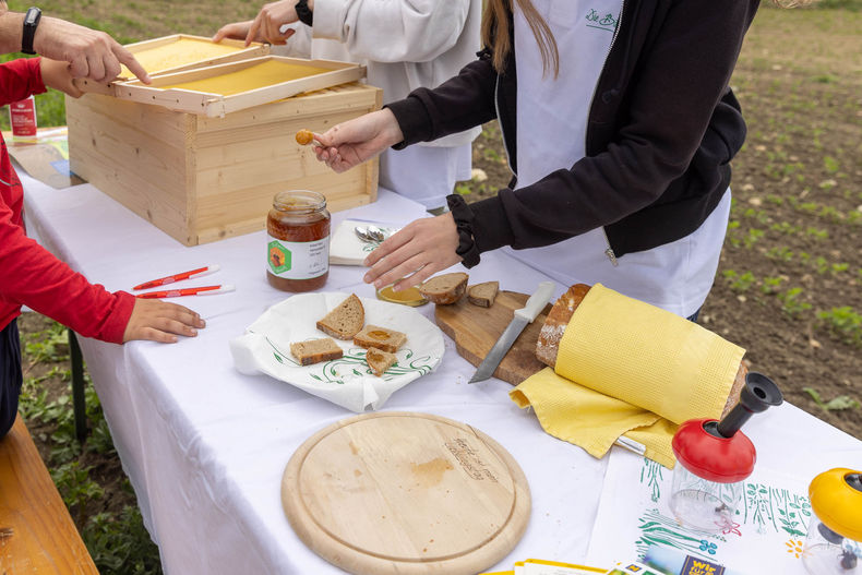 Eröffnung der AckerkulTOUR 2023 © Die Bäuerinnen im Gebiet Schwechat Eröffnung der AckerkulTOUR 2023 © Die Bäuerinnen im Gebiet Schwechat