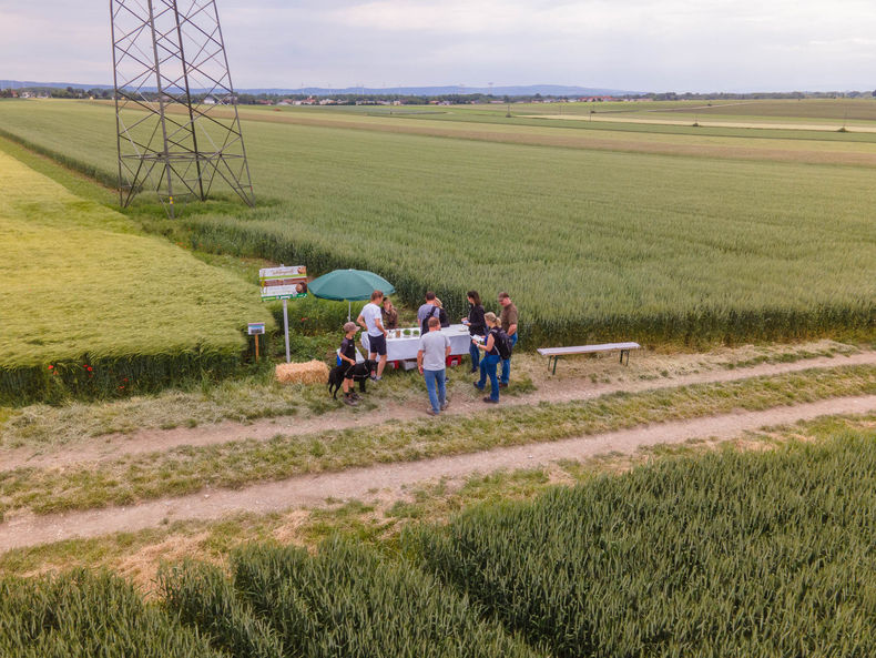 Eröffnung der AckerkulTOUR 2023 © Die Bäuerinnen im Gebiet Schwechat Eröffnung der AckerkulTOUR 2023 © Die Bäuerinnen im Gebiet Schwechat