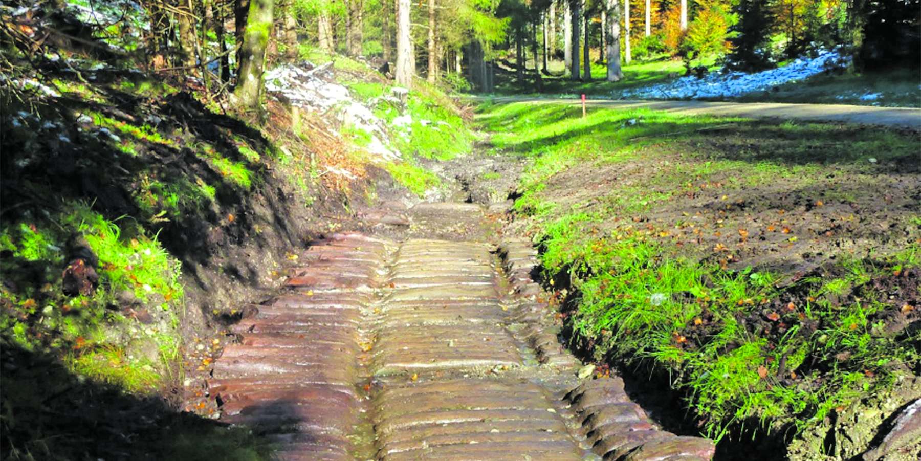 Prügelweg © Klemm Prügelweg © Klemm