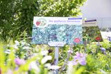 Bienenbeet_(c)dielechnerei (2).jpg © dielechnerei/LK Niederösterreich