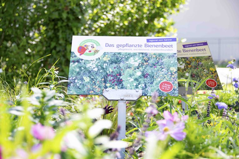 Bienenbeet_(c)dielechnerei (2).jpg © dielechnerei/LK Niederösterreich Bienenbeet_(c)dielechnerei (2).jpg © dielechnerei/LK Niederösterreich