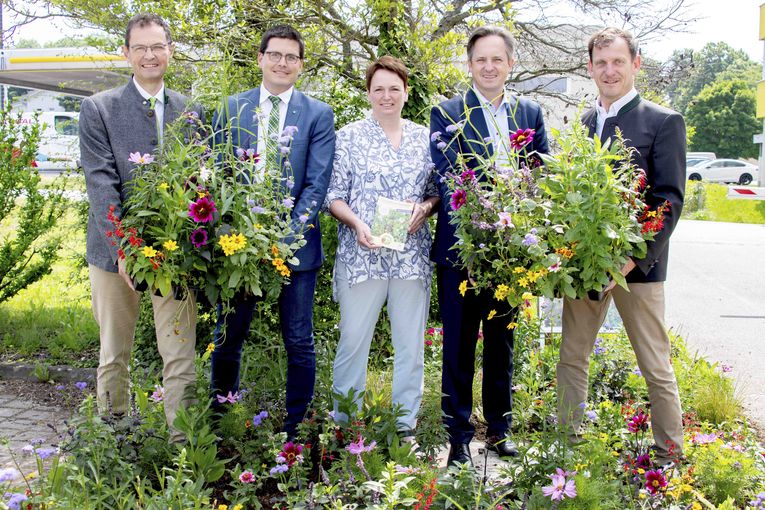 Bienenbeet_(c)dielechnerei (14).jpg © dielechnerei/LK Niederösterreich Bienenbeet_(c)dielechnerei (14).jpg © dielechnerei/LK Niederösterreich