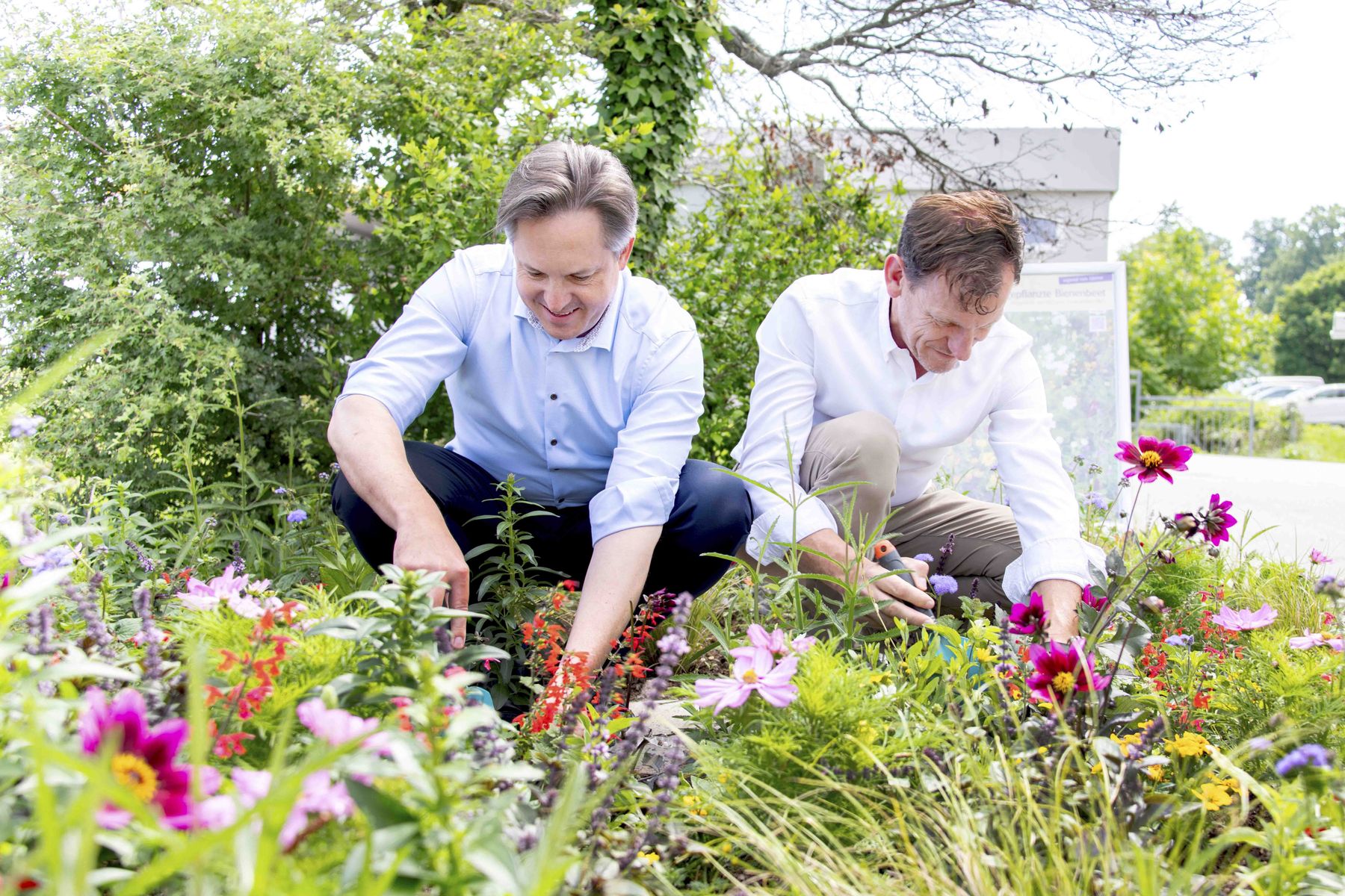 Bienenbeet_(c)dielechnerei (16).jpg © dielechnerei/LK Niederösterreich Bienenbeet_(c)dielechnerei (16).jpg © dielechnerei/LK Niederösterreich