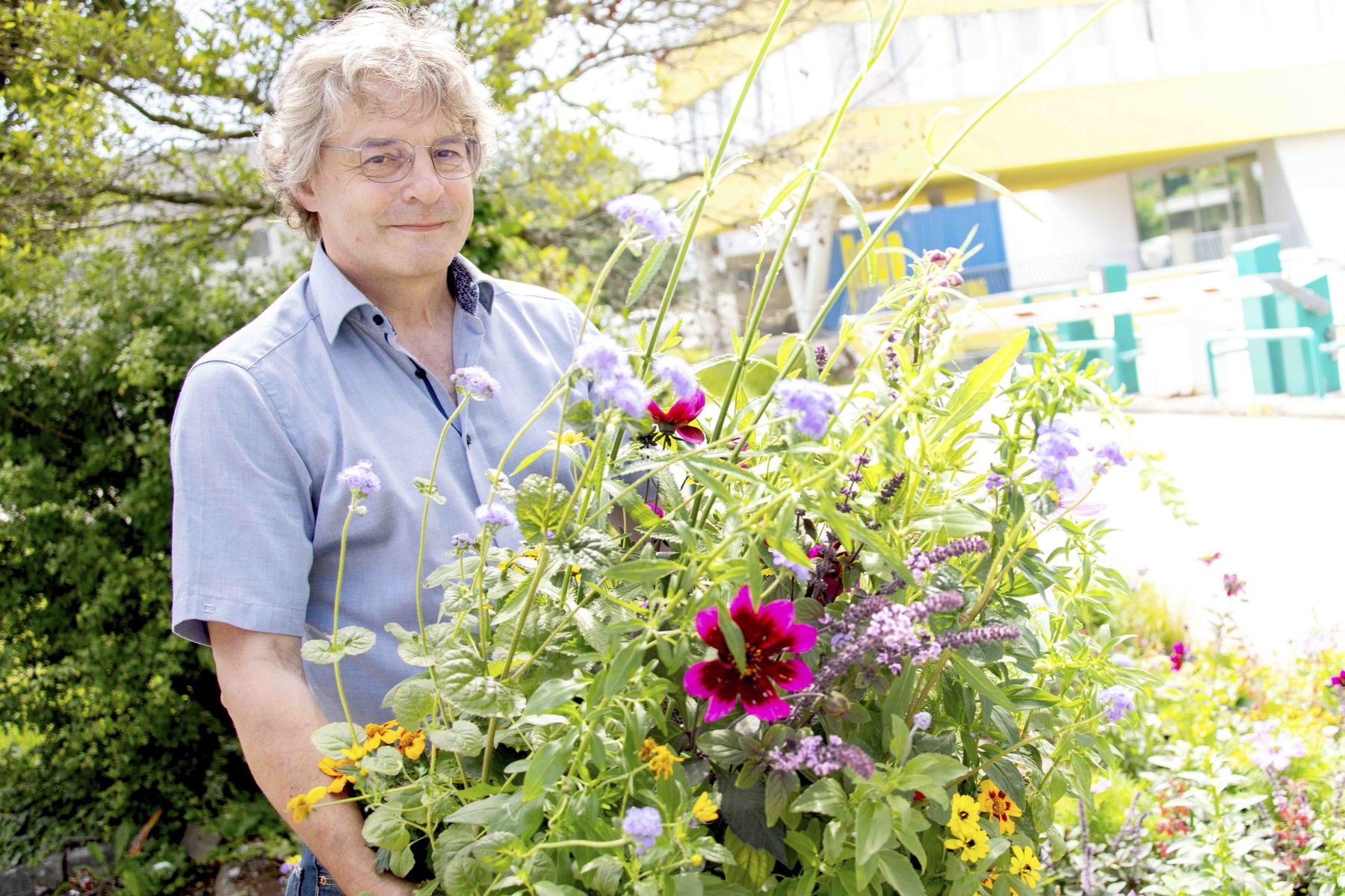 Bienenbeet_(c)dielechnerei (18).jpg © dielechnerei/LK Niederösterreich Bienenbeet_(c)dielechnerei (18).jpg © dielechnerei/LK Niederösterreich