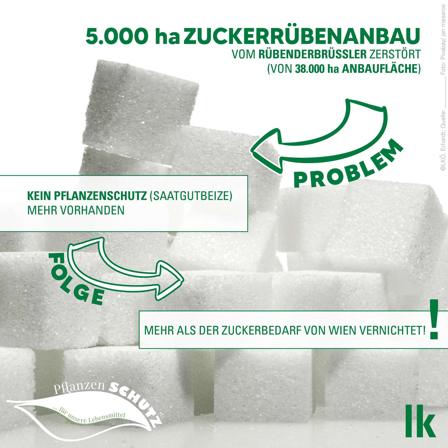 Zucker-Grafik 2023 © Erhardt/LKÖ