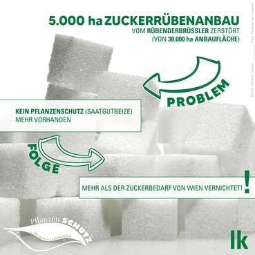 Zucker-Grafik 2023 © Erhardt/LKÖ Zucker-Grafik 2023 © Erhardt/LKÖ
