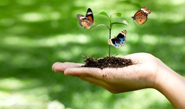 Biodiversität.jpg © stock.adobe.com Biodiversität.jpg © stock.adobe.com