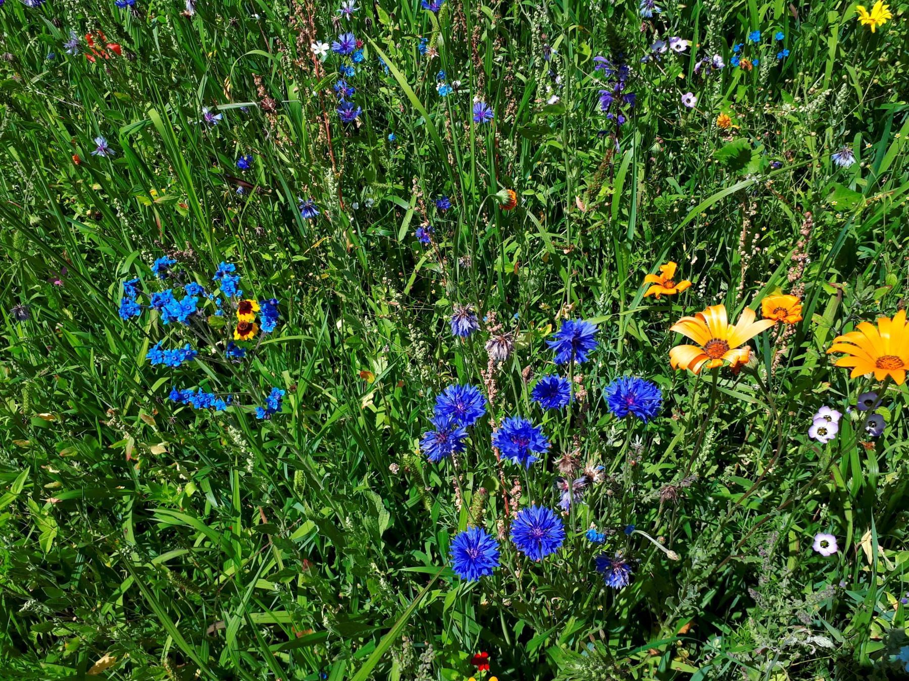 Biodiversität - Petritz.jpg © Petritz Biodiversität - Petritz.jpg © Petritz