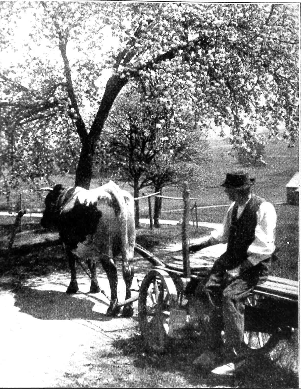Mattsee26.jpg © Archiv Mattsee26.jpg © Archiv