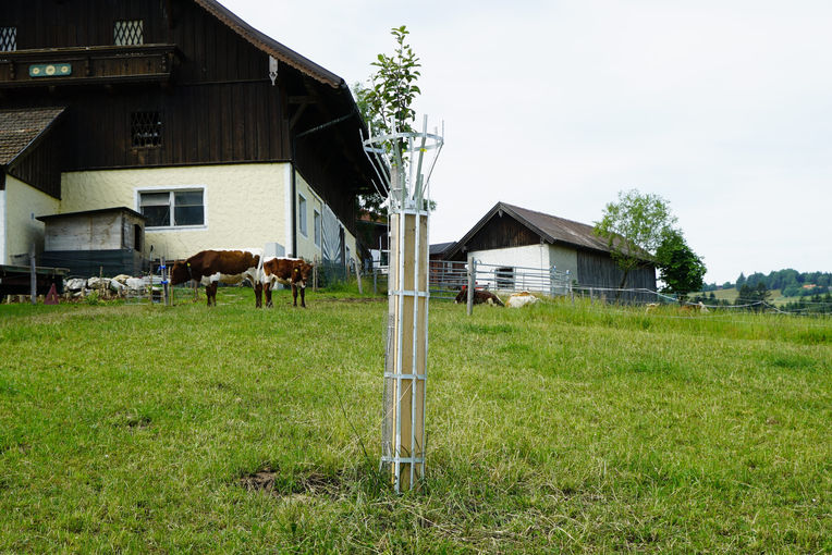 Die Vielfalt ist uns ein Anliegen – Knollederbauer in Obertrum.jpg © Kronreif Die Vielfalt ist uns ein Anliegen – Knollederbauer in Obertrum.jpg © Kronreif