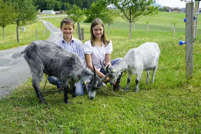 Die Vielfalt ist uns ein Anliegen – Knollederbauer in Obertrum.jpg © Kronreif Die Vielfalt ist uns ein Anliegen – Knollederbauer in Obertrum.jpg © Kronreif