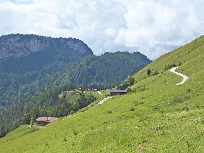 Bayerisch-österreichische Alm gemeinschaft mit Charme .jpg