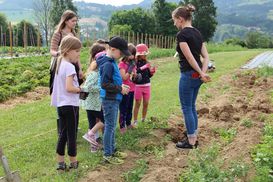 Tag der Landwirtschaft in Steyr LK OÖ (6).jpg Tag der Landwirtschaft in Steyr LK OÖ (6).jpg