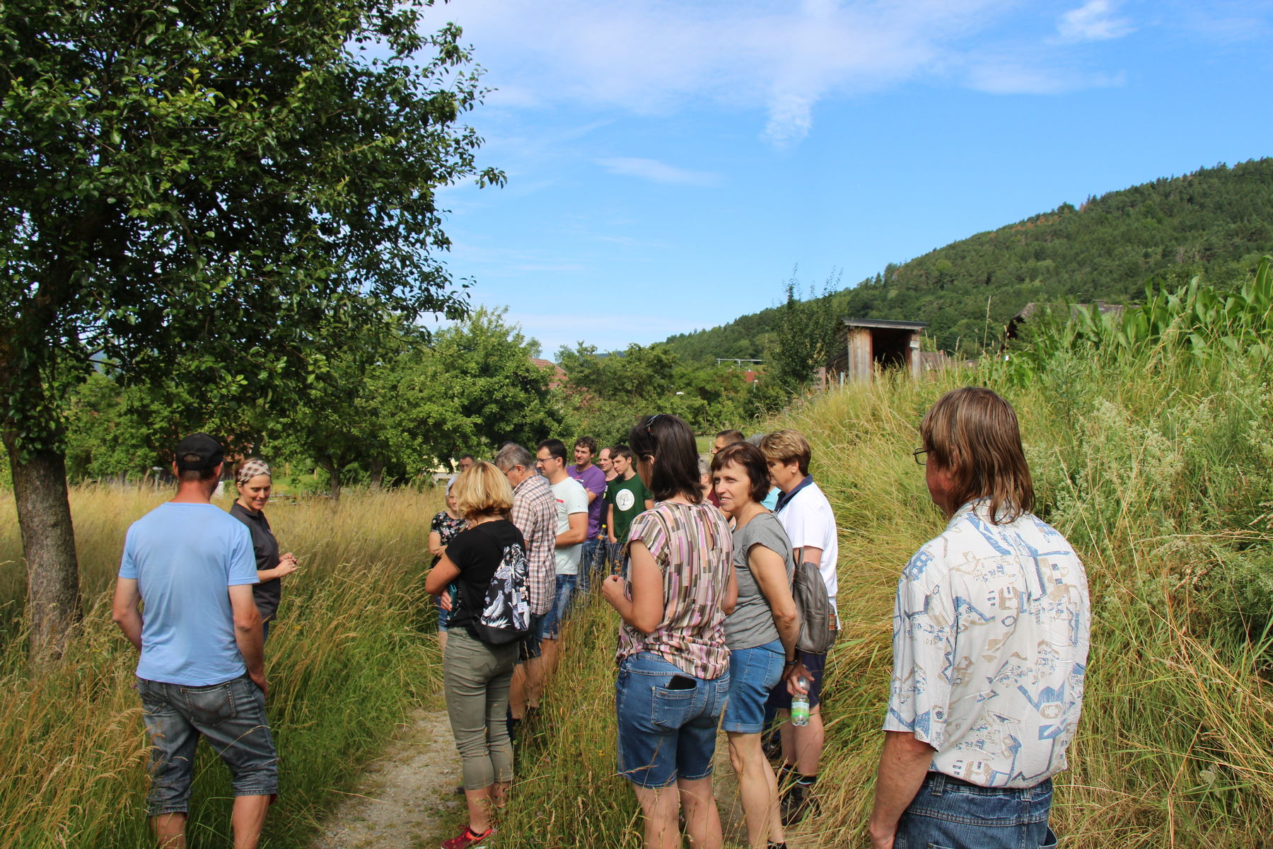 Grünlandbegehung_IMG_3502.jpg © BBK Melk/Langeder Grünlandbegehung_IMG_3502.jpg © BBK Melk/Langeder