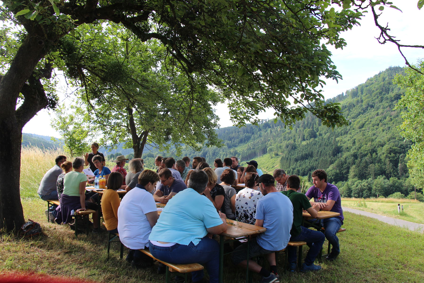 Grünlandbegehung_IMG_3493.jpg © BBK Melk/Langeder Grünlandbegehung_IMG_3493.jpg © BBK Melk/Langeder