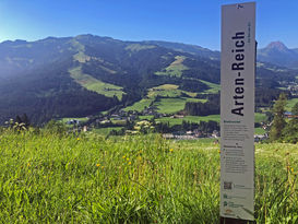 230707 Lockpfosten-Artenreich c LK-Tirol.jpg