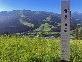230707 Lockpfosten-Artenreich c LK-Tirol.jpg 230707 Lockpfosten-Artenreich c LK-Tirol.jpg