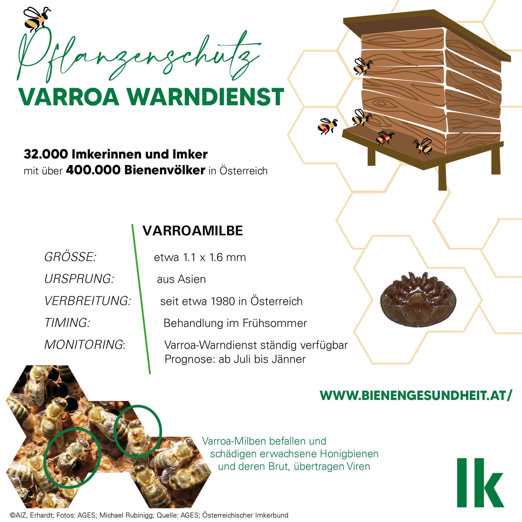 Grafik Varroa-Warndienst 2023 © Erhardt/LK Ö