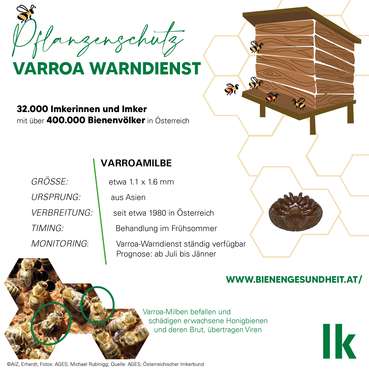 Grafik Varroa-Warndienst 2023 © Erhardt/LK Ö