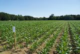  © Landwirtschaftskammer Oberösterreich/Kastenhuber