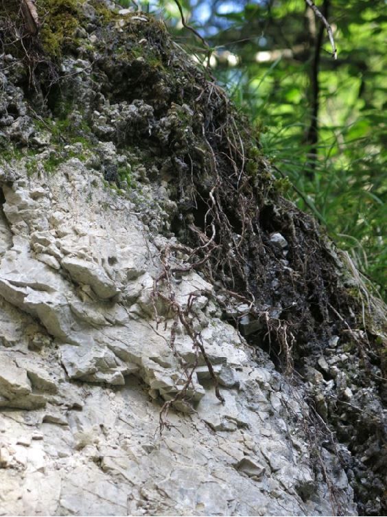 Bild3_Dynamische_WT.jpg © Land OÖ