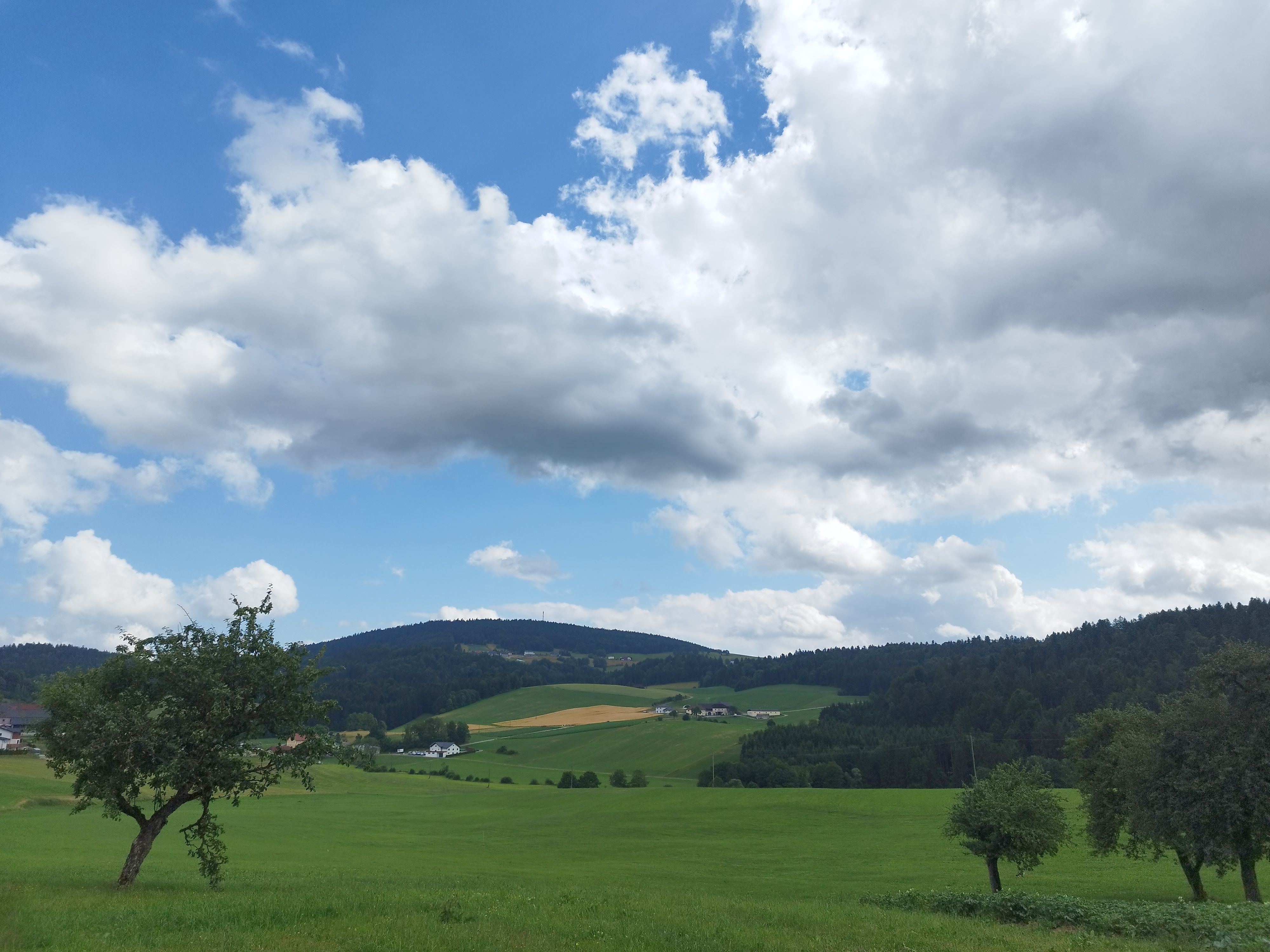 Mühlviertel Juli 2023 by Sieglinde Jell-Anreiter.jpg © Landwirtschaftskammer Oberösterreich/Jell-Anreiter