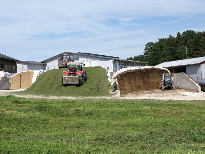 Gärfutterbereitung 3.jpg © LK Niederösterreich Gärfutterbereitung 3.jpg © LK Niederösterreich