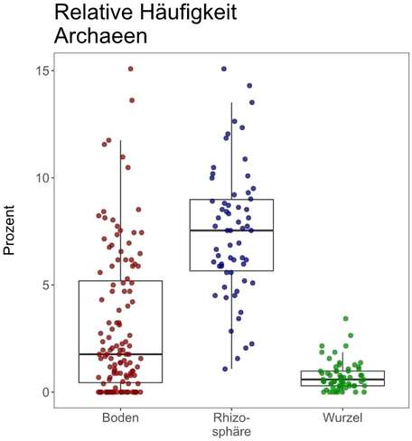 Relative Häufigkeit von Archaeen in Ackerböden aus Ober- und Niederösterreich.jpg Relative Häufigkeit von Archaeen in Ackerböden aus Ober- und Niederösterreich.jpg