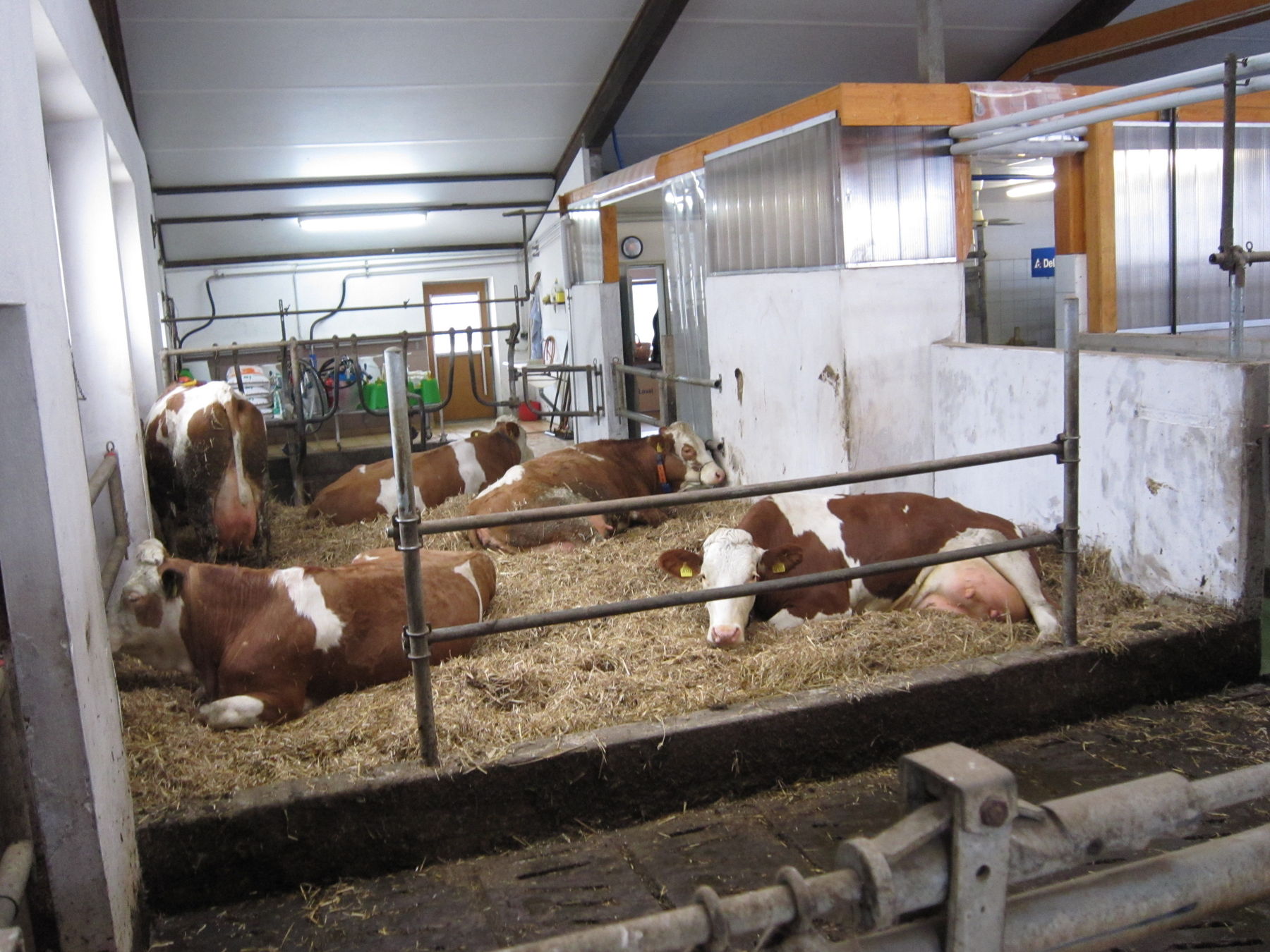 Bild 2 (2).jpg © Landwirtschaftskammer Oberösterreich/Gstöttinger Bild 2 (2).jpg © Landwirtschaftskammer Oberösterreich/Gstöttinger